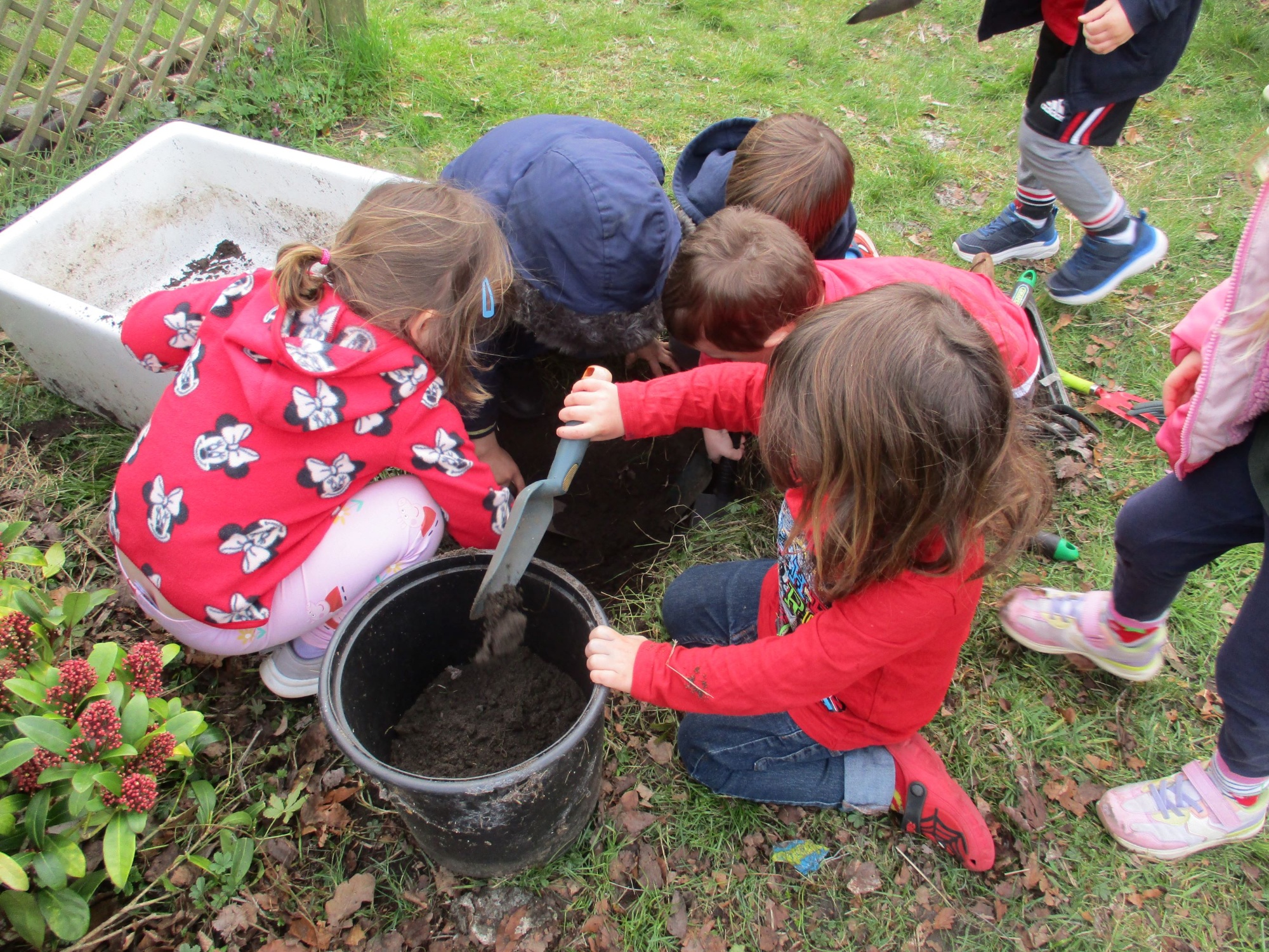 Saplings Wilding Session