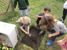 Saplings Wilding Session