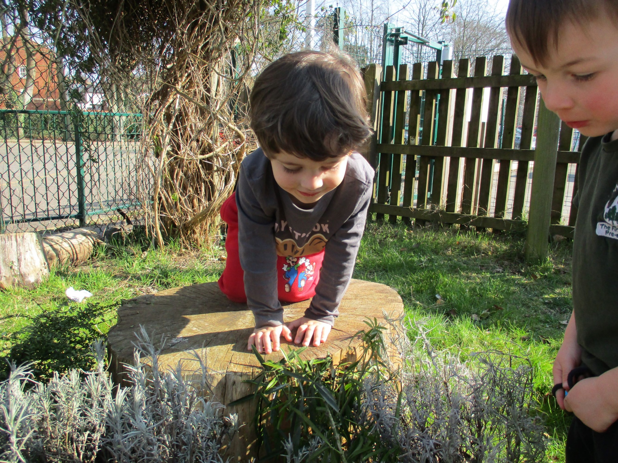 Saplings Wilding Session