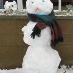 Firs Snow Fun, January 2021