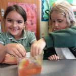 Yr1.Science.MakingRainbows2)