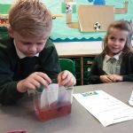 Yr1.Science.MakingRainbows3)