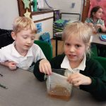 Yr1.Science.MakingRainbows4)