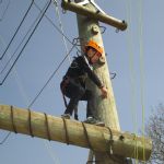 Y4Grafham22.HighRopes26)