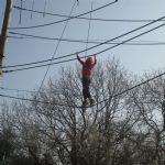 Y4Grafham22.HighRopes27)