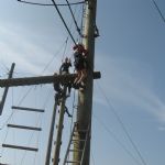 Y4Grafham22.HighRopes4)