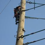 Y4Grafham22.HighRopes58)