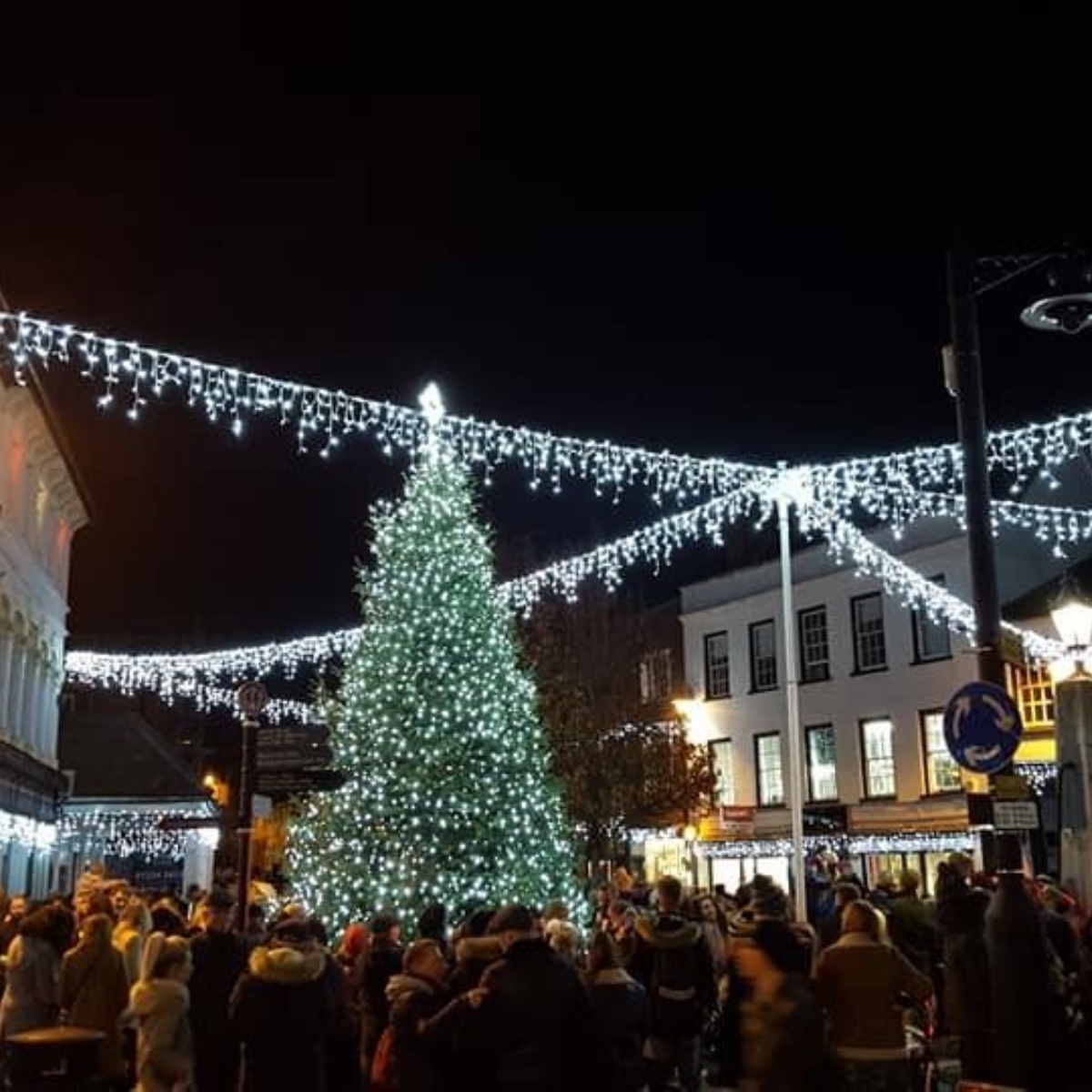 The Firs Lower School Ampthill Christmas Lights Switched On